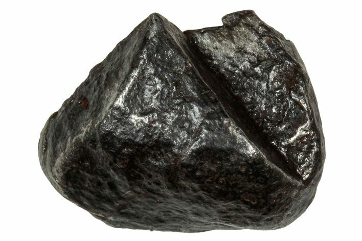 Gibeon Iron Meteorite ( g) - Namibia #334683